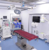 WhatsApp-Image-2024-03-15-at-2.05.48-PM-8